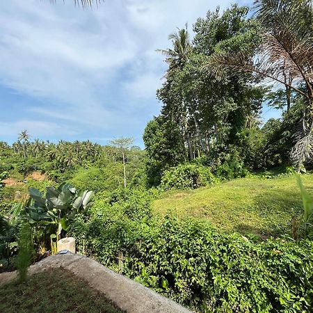 D'Nanda Villa Ubud Eksteriør bilde