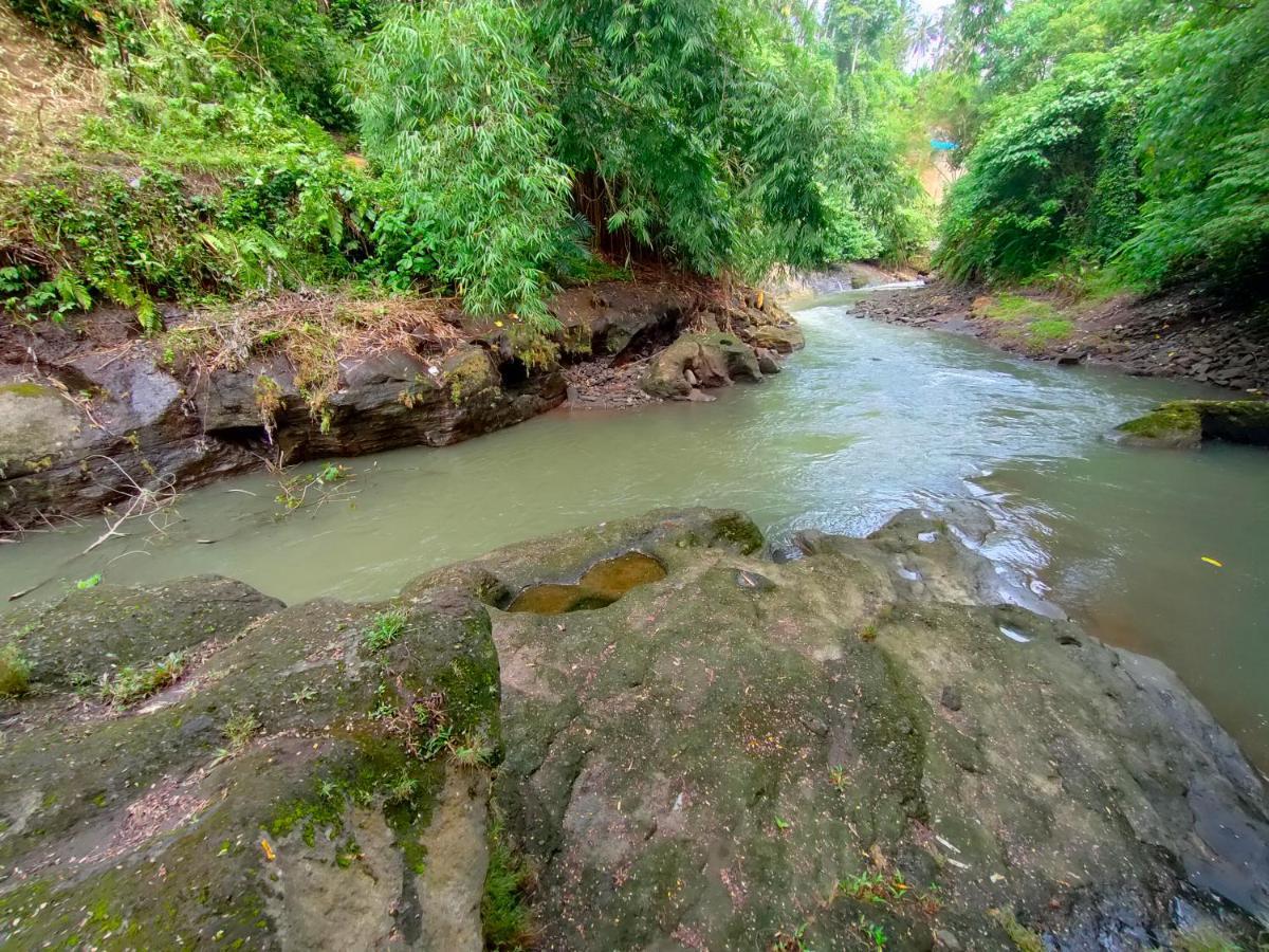 D'Nanda Villa Ubud Eksteriør bilde