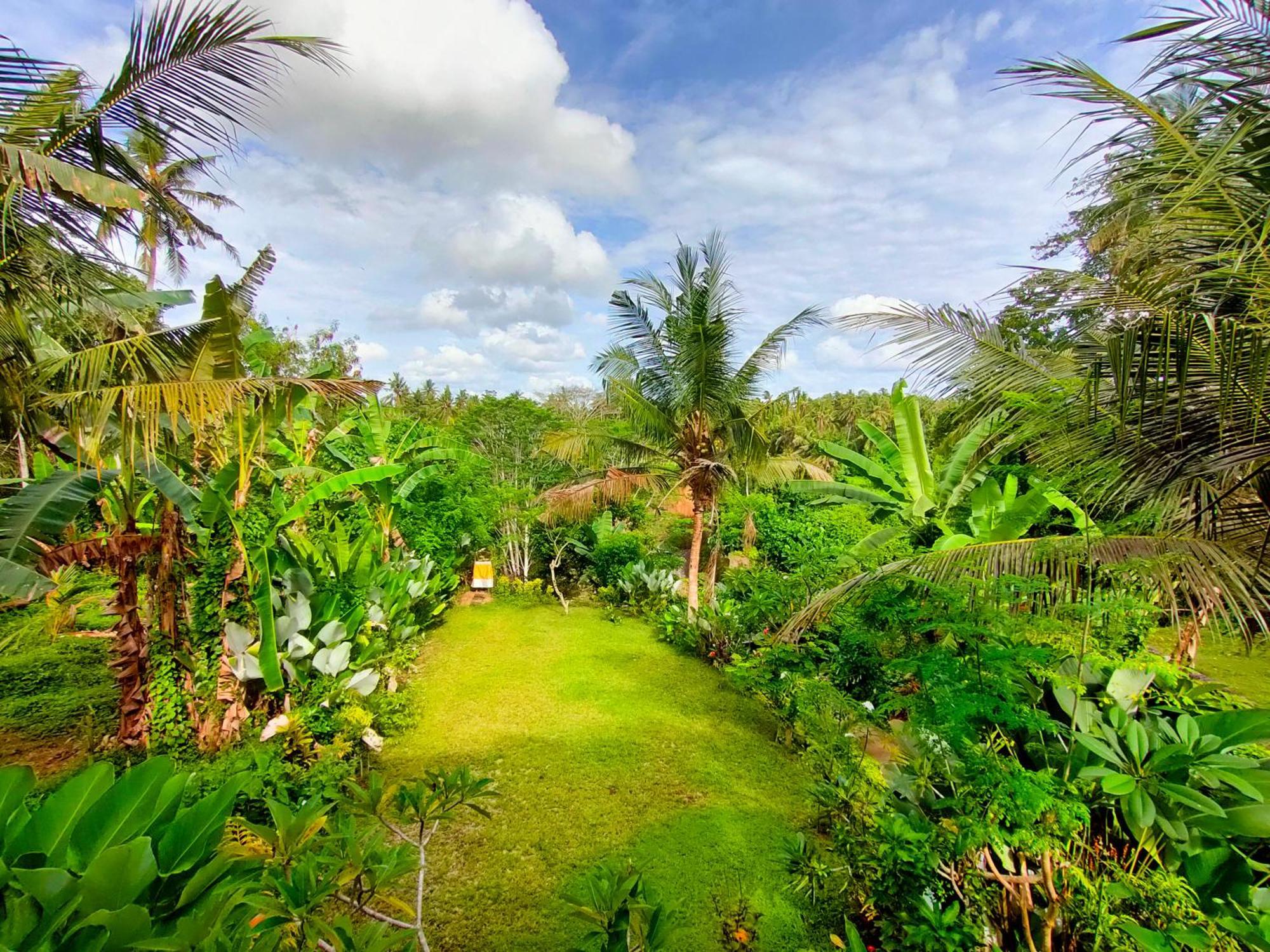 D'Nanda Villa Ubud Eksteriør bilde