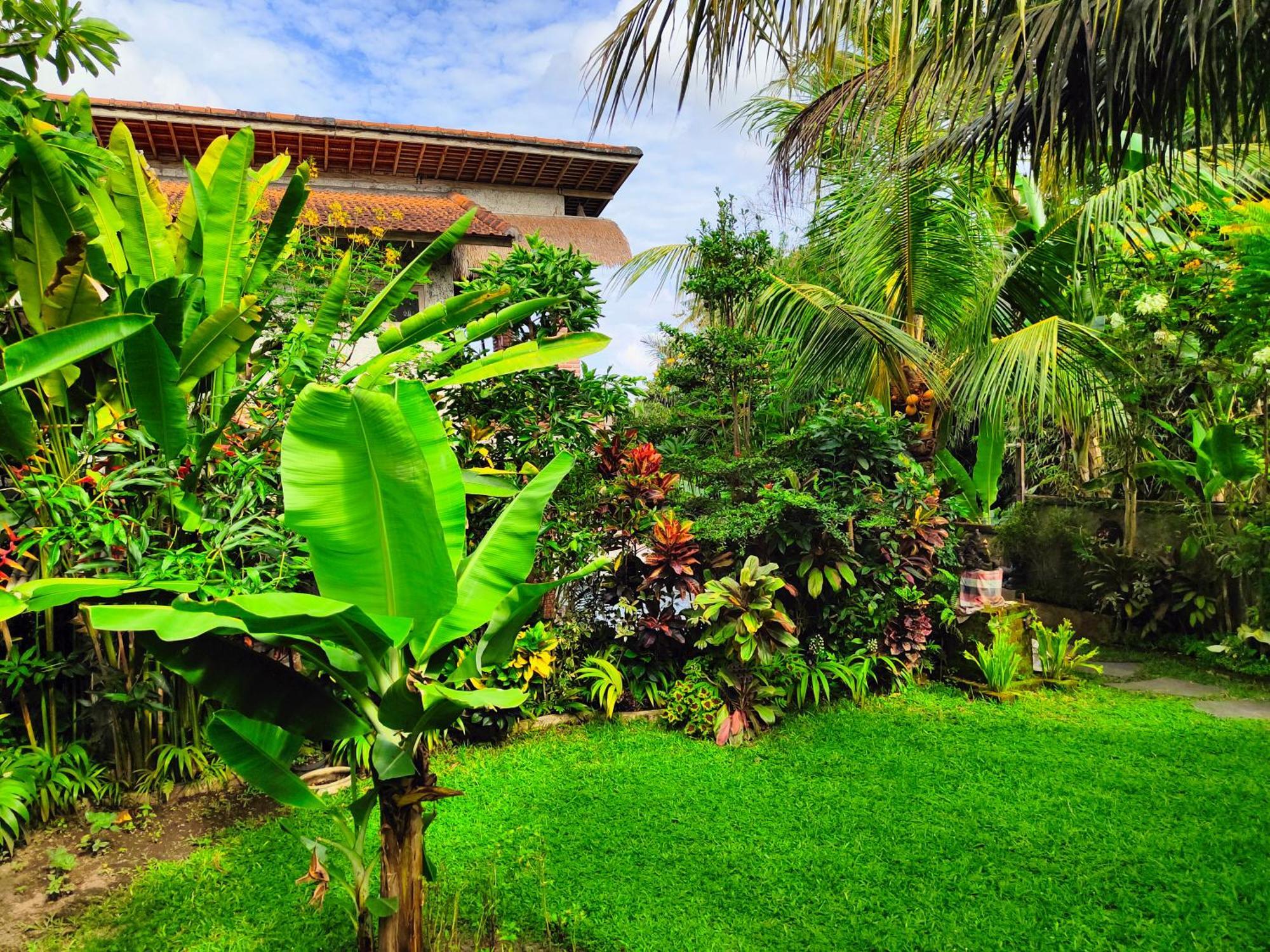 D'Nanda Villa Ubud Eksteriør bilde