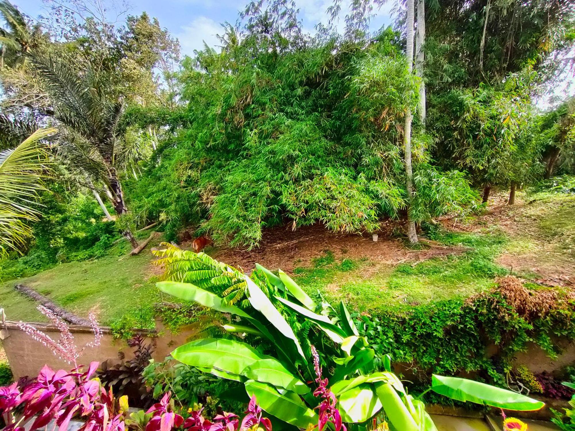 D'Nanda Villa Ubud Rom bilde