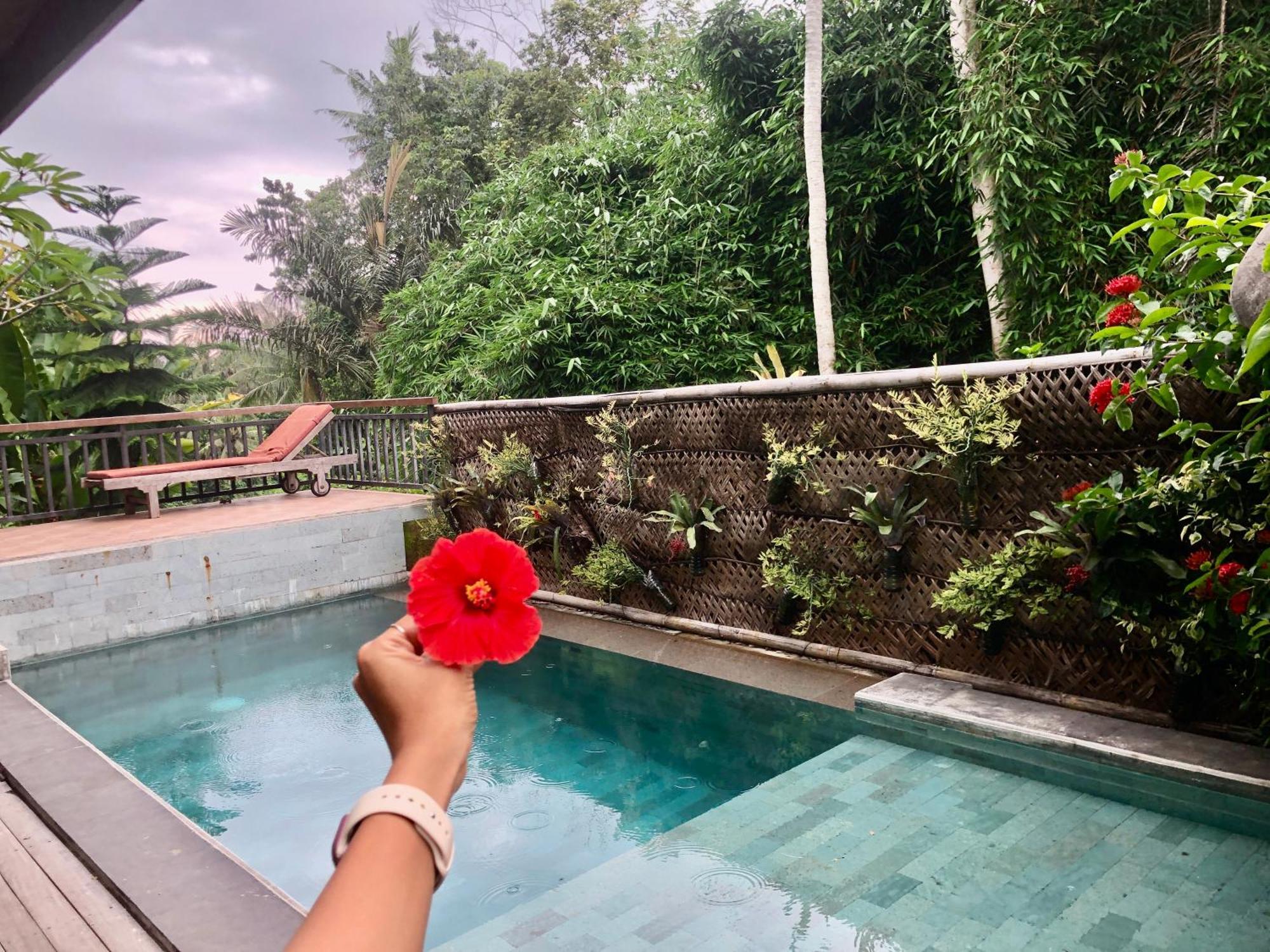D'Nanda Villa Ubud Eksteriør bilde