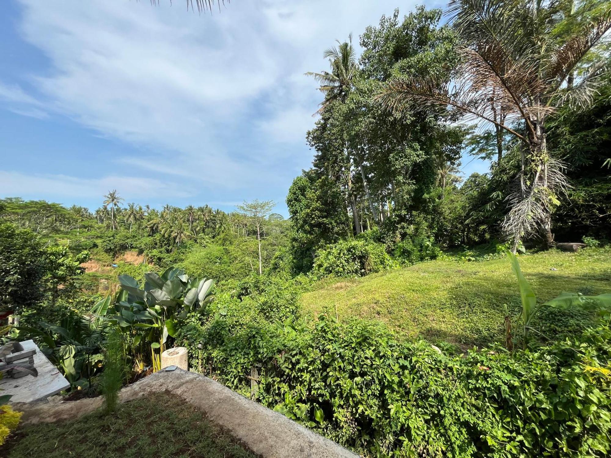 D'Nanda Villa Ubud Eksteriør bilde